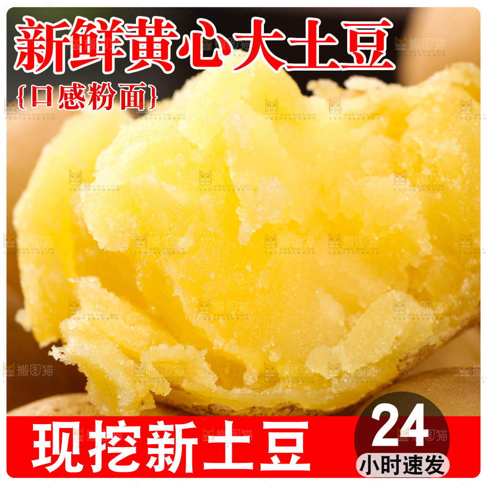 新鲜大土豆主图