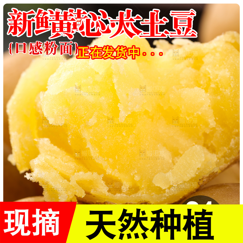 新鲜大土豆主图