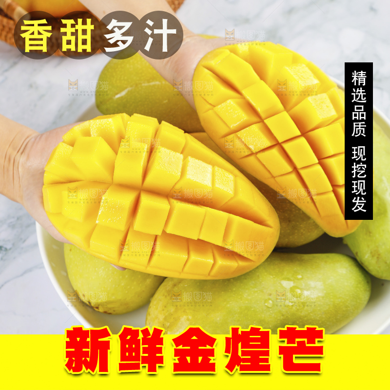 浅底上的绿皮金煌芒