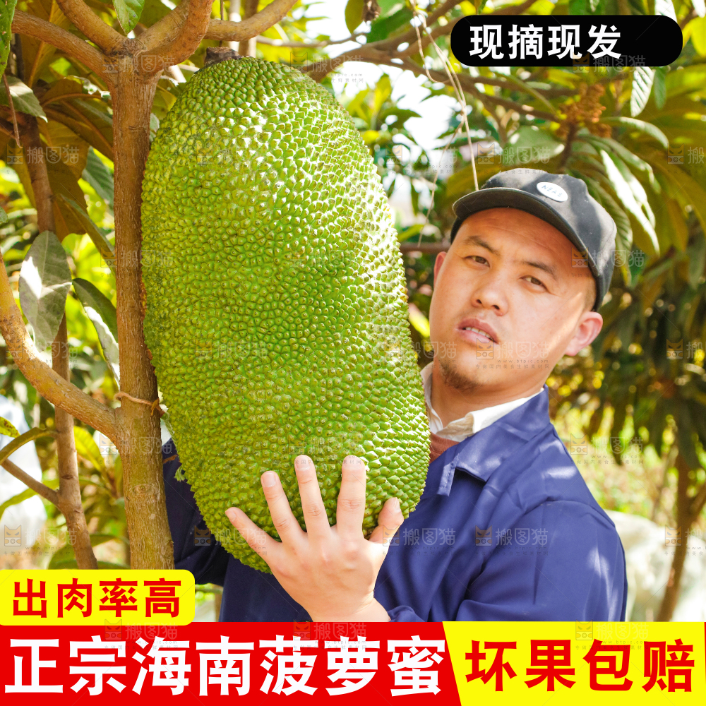 海南菠萝蜜主图