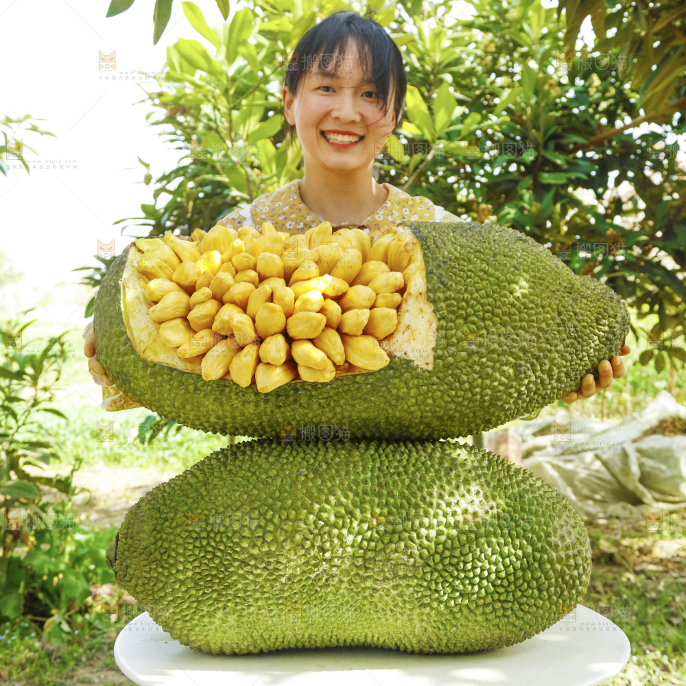 深底上的黄肉菠萝蜜