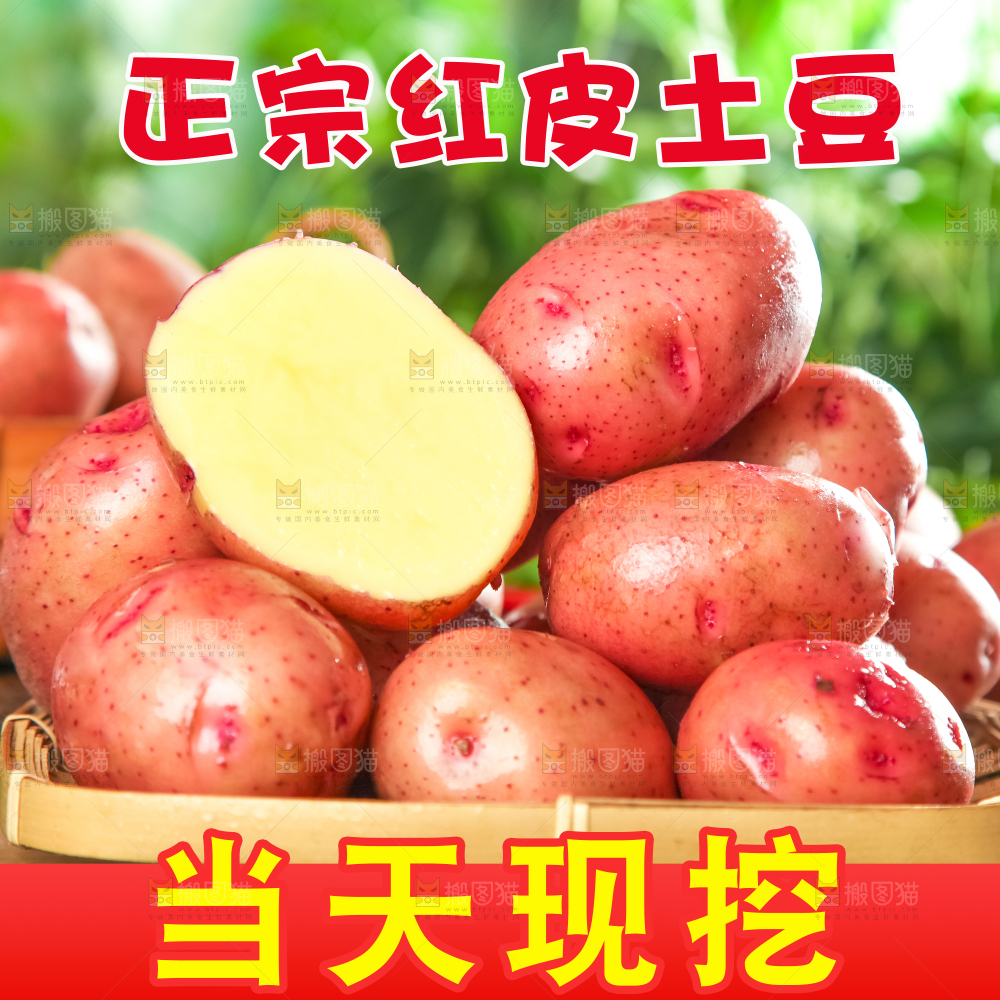 红皮土豆主图