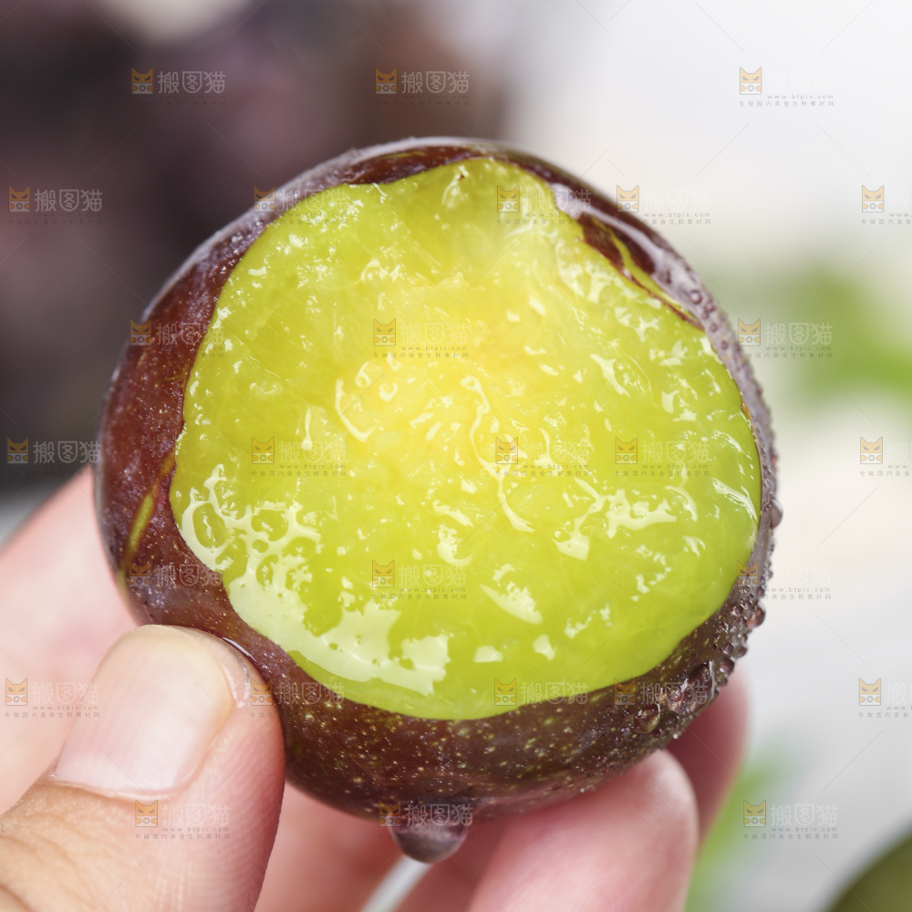 浅底上的五月脆李