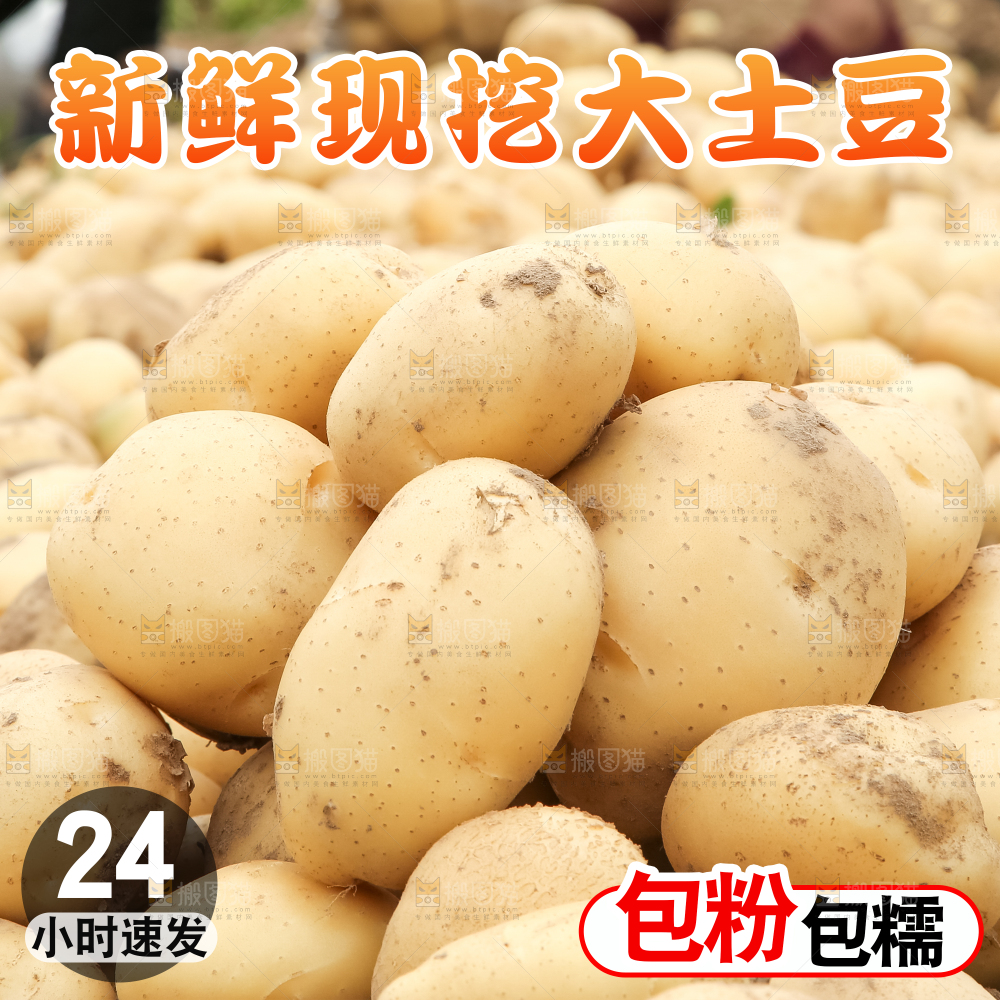 新鲜大土豆主图