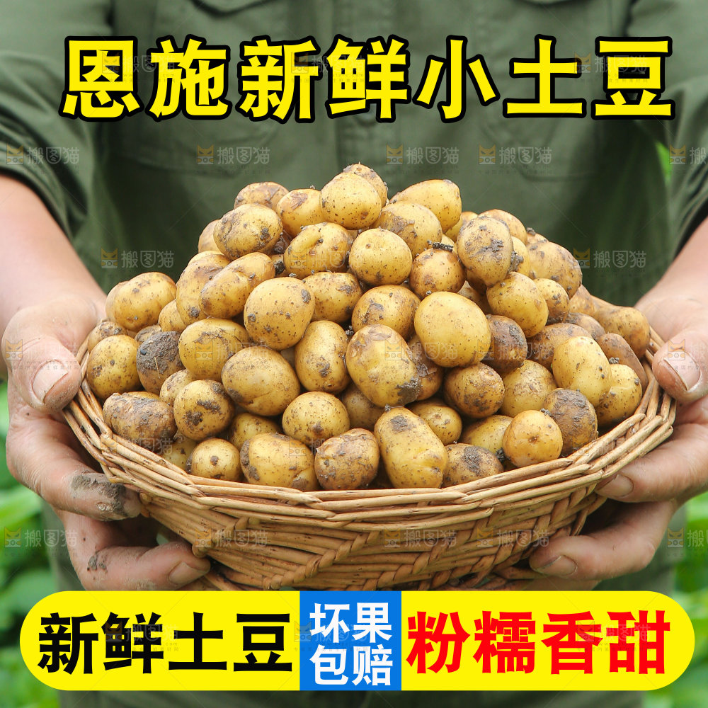 新鲜小土豆主图
