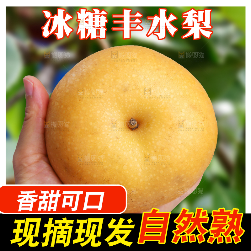 秋月梨主图