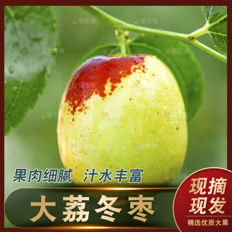 浅底上的大荔冬枣