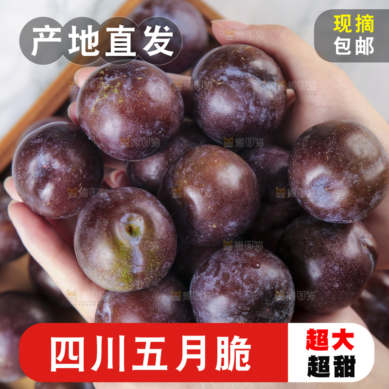 浅底上的五月脆李