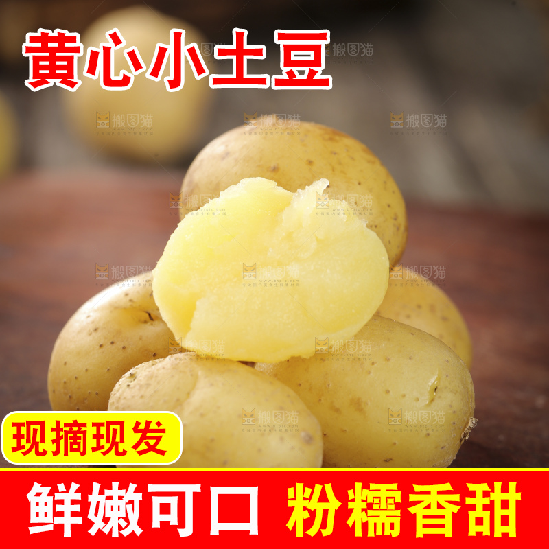 深底上的小土豆