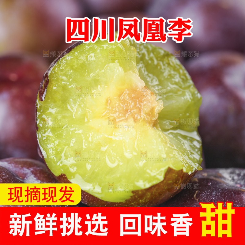 浅底上的五月脆李
