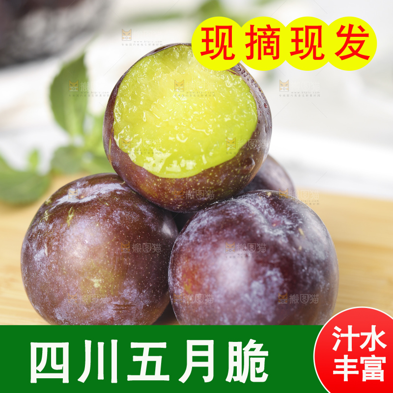 浅底上的五月脆李