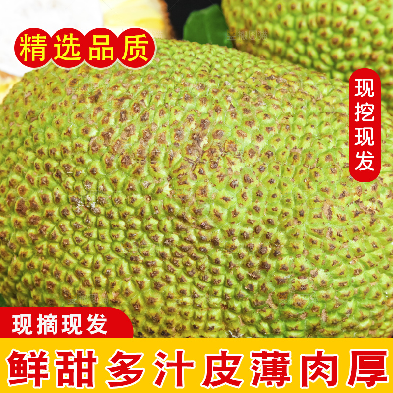 深底上的黄肉菠萝蜜
