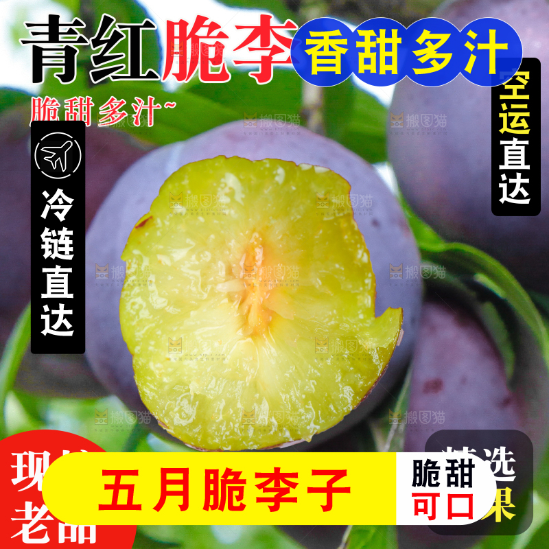 五月脆李主图