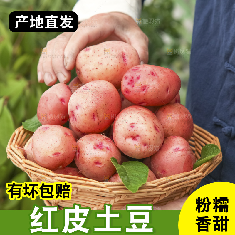 深底上的红皮土豆