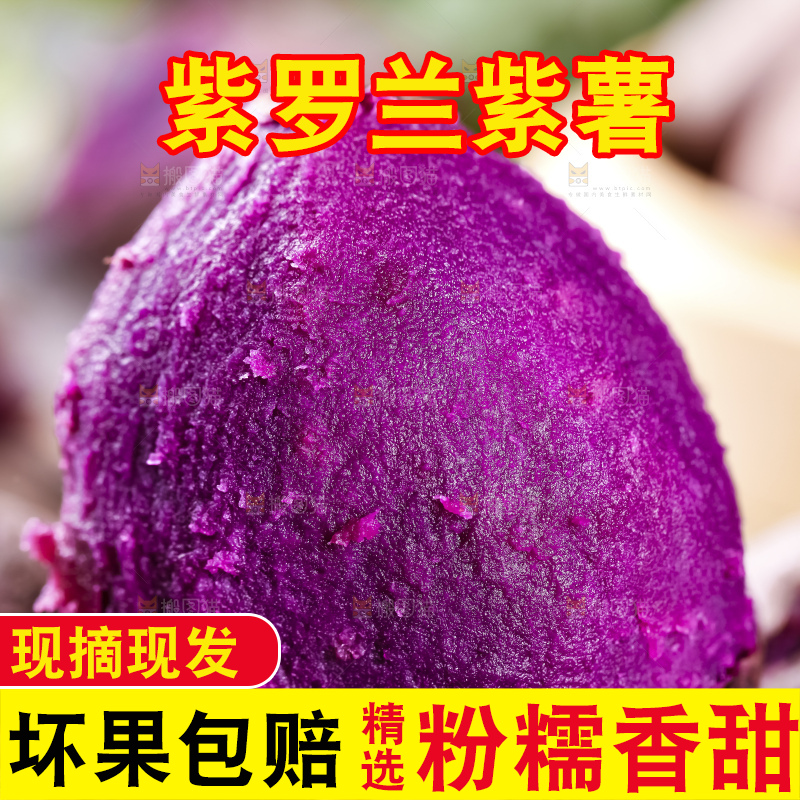 深底上的大紫薯