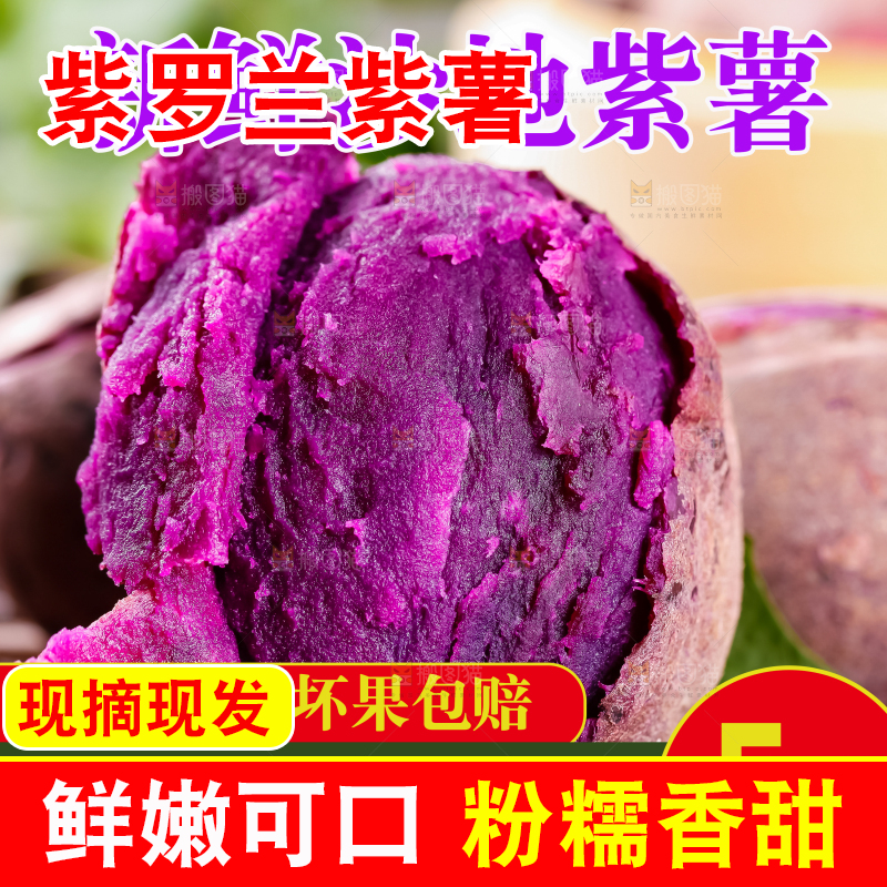 紫罗兰紫薯主图