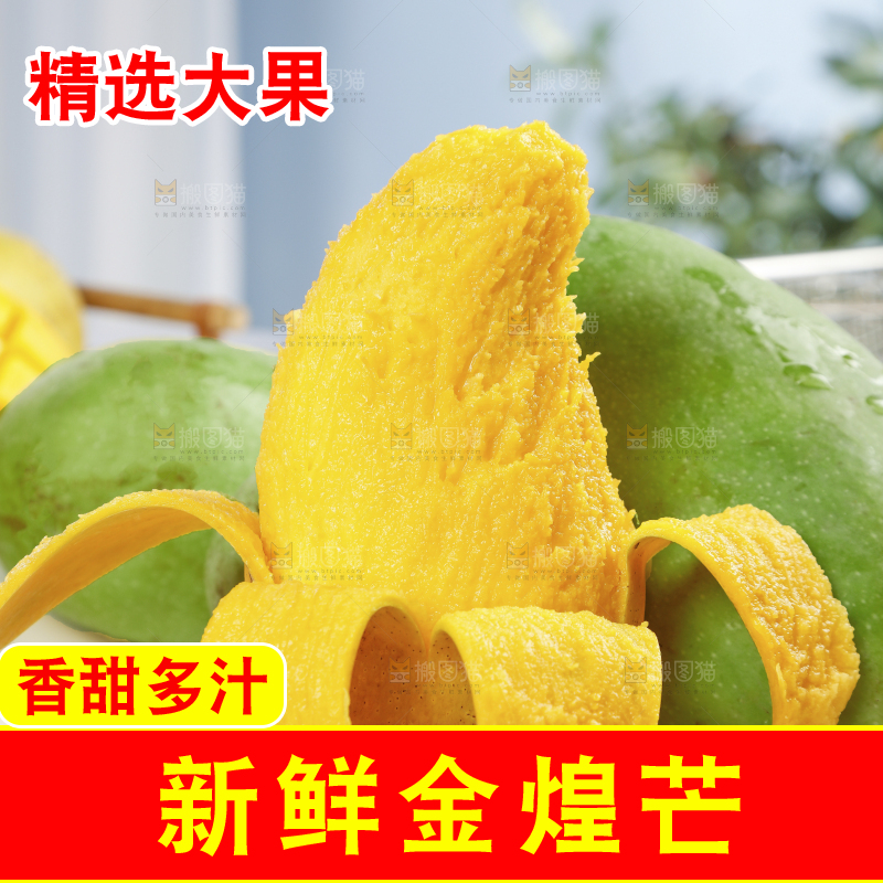 浅底上的绿皮金煌芒