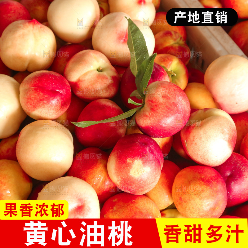 新鲜现摘的油桃