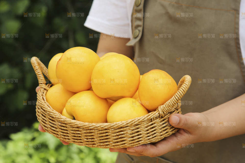 黄油桃