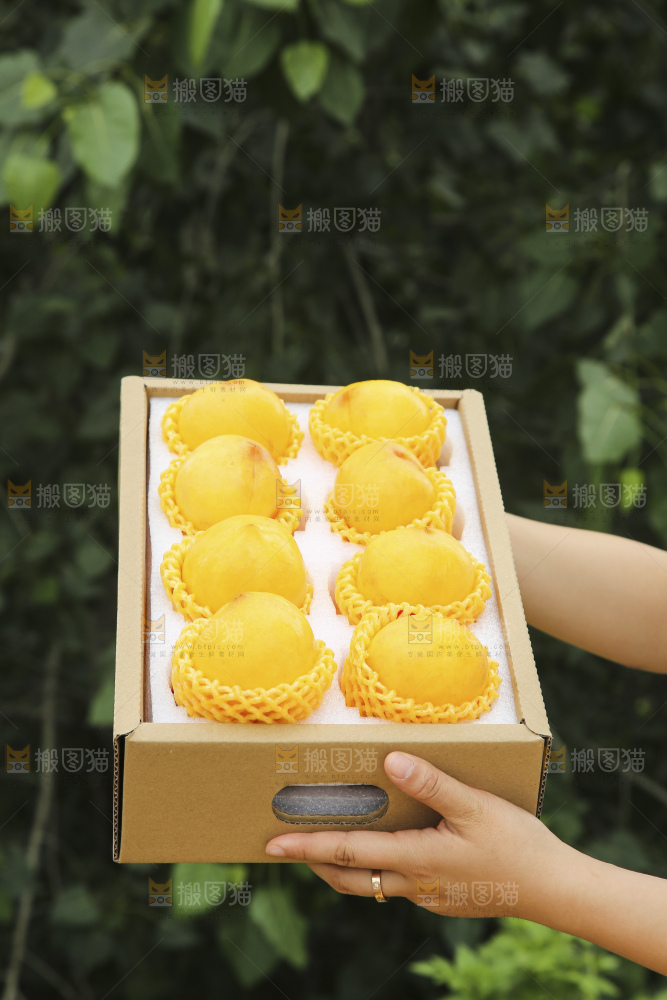 黄油桃
