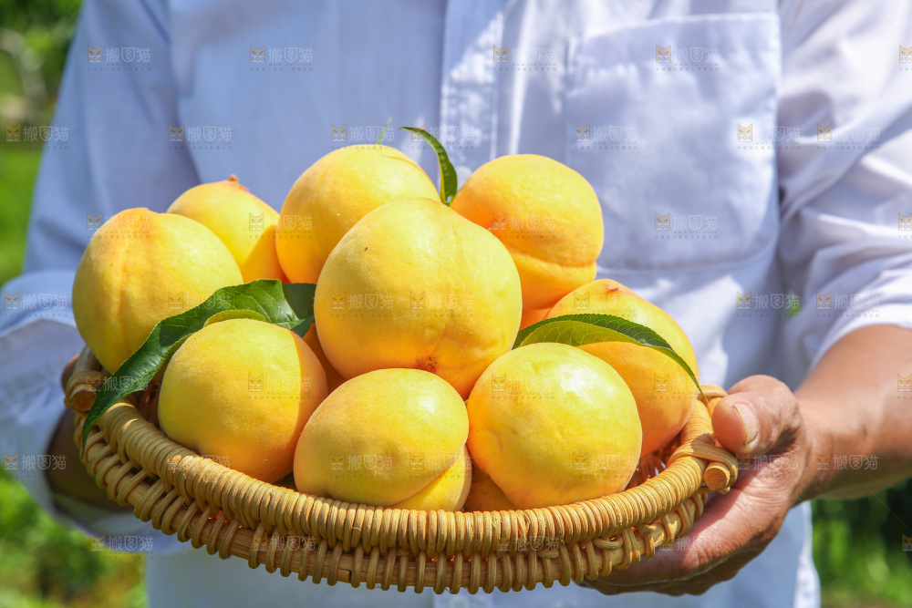 桃