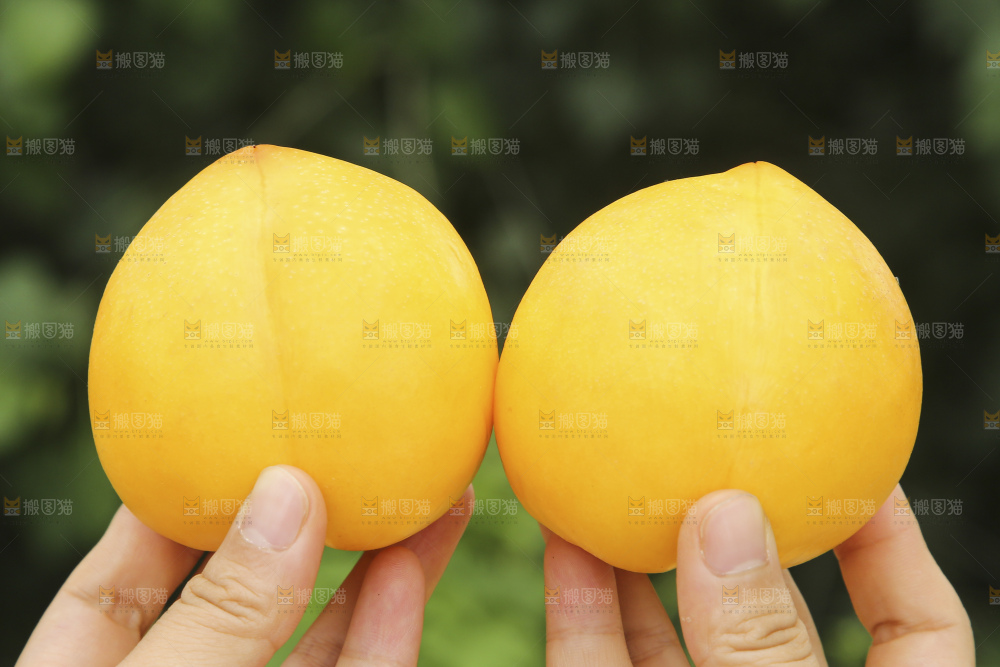 手里拿着黄油桃