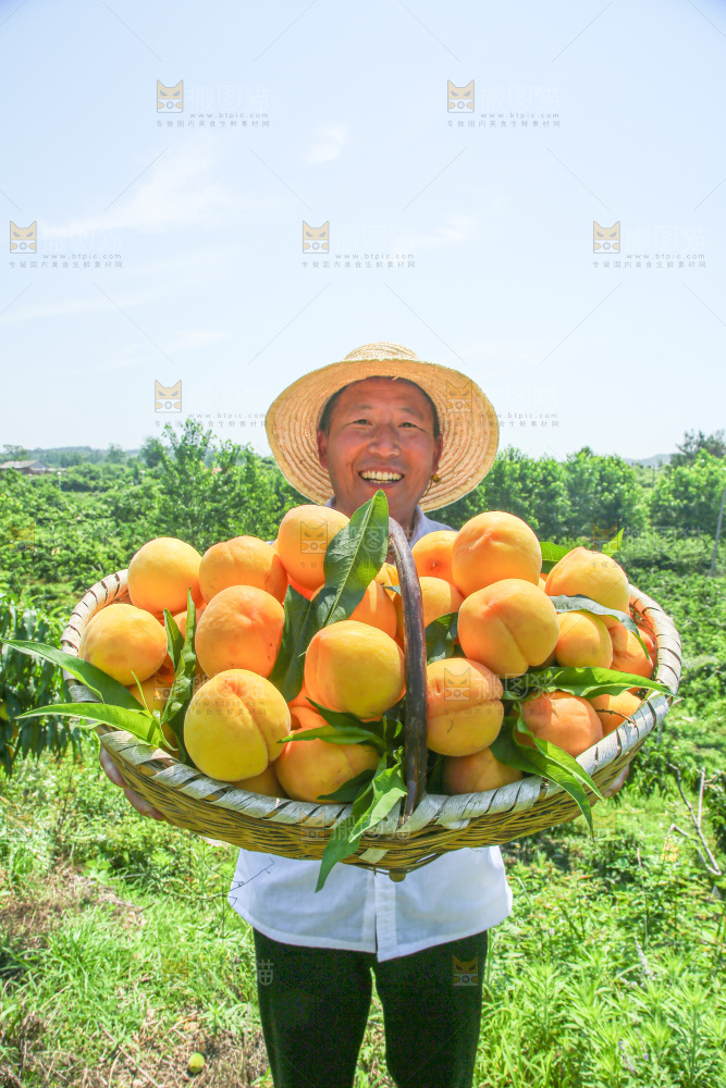 手里拿着黄毛桃