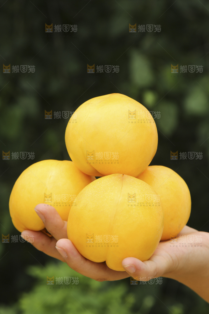 手里拿着黄油桃