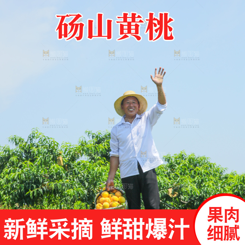 手里拿着黄毛桃