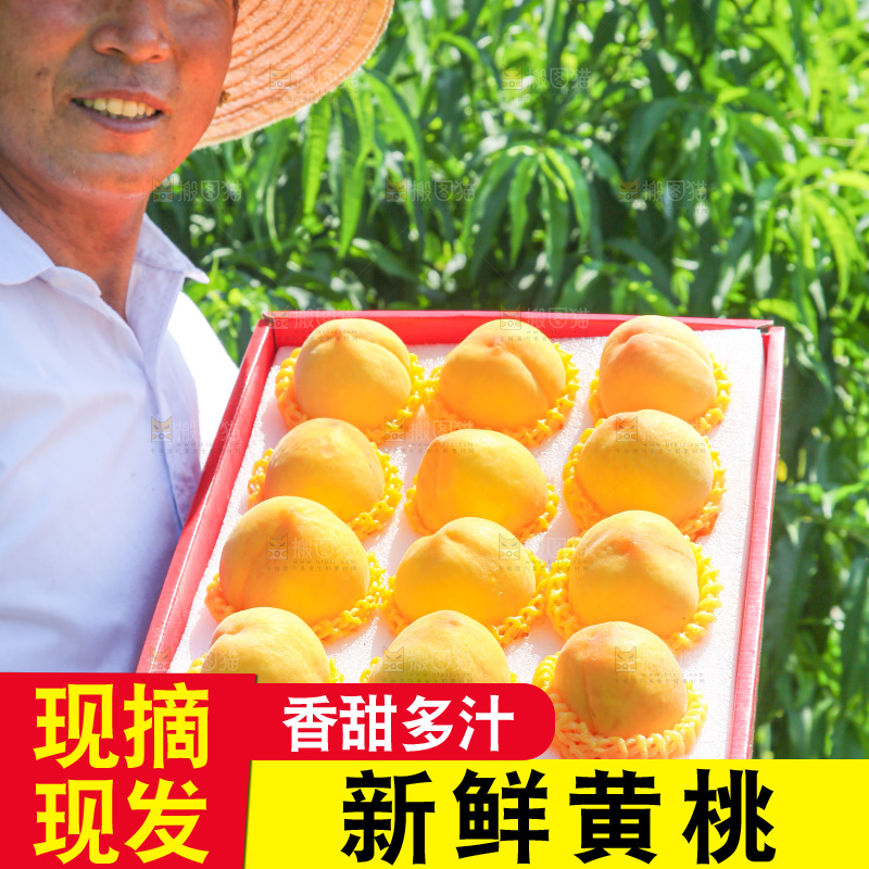 手里拿着黄毛桃