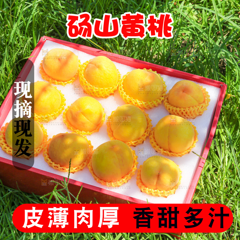 手里拿着黄毛桃