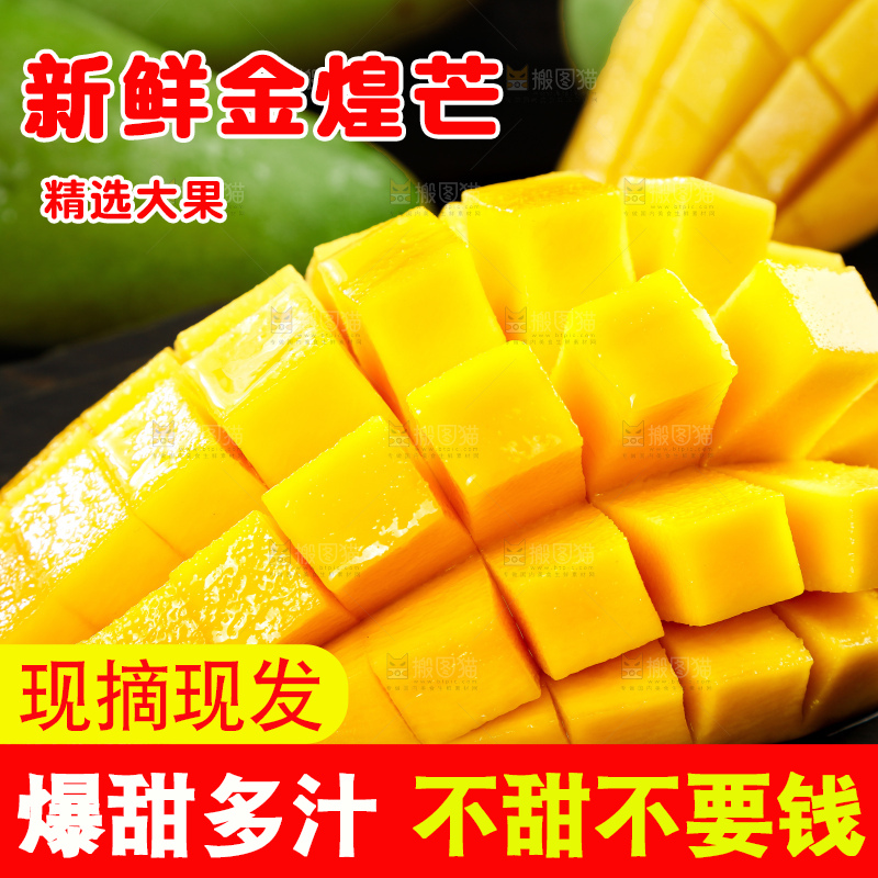 浅底上的绿皮金煌芒