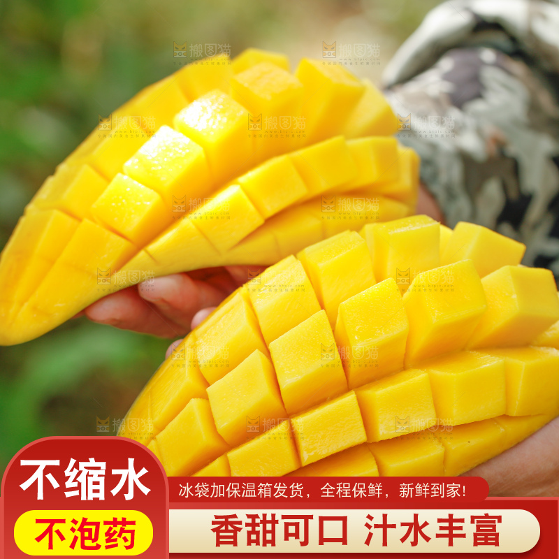 浅底上的绿皮金煌芒