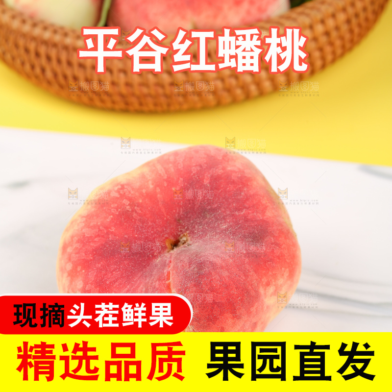 浅底上的毛蟠桃
