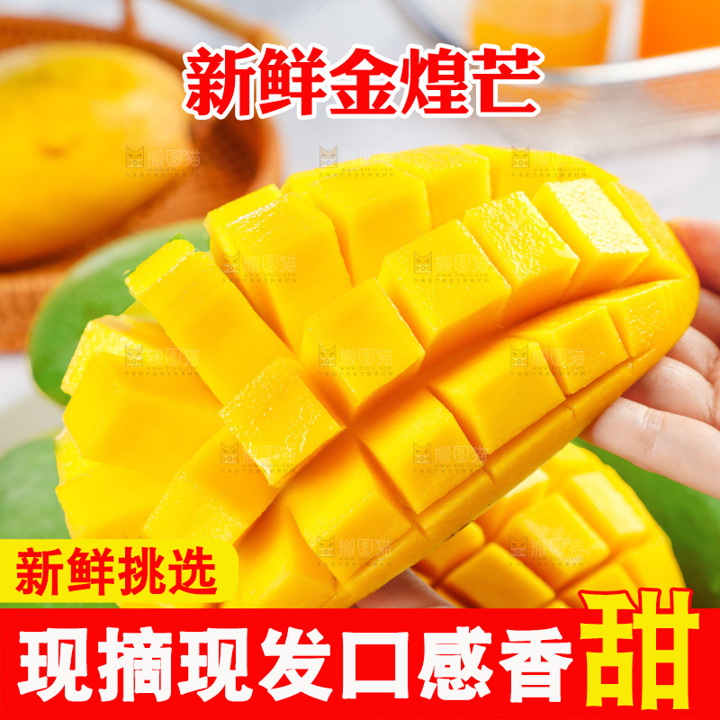 浅底上的绿皮金煌芒