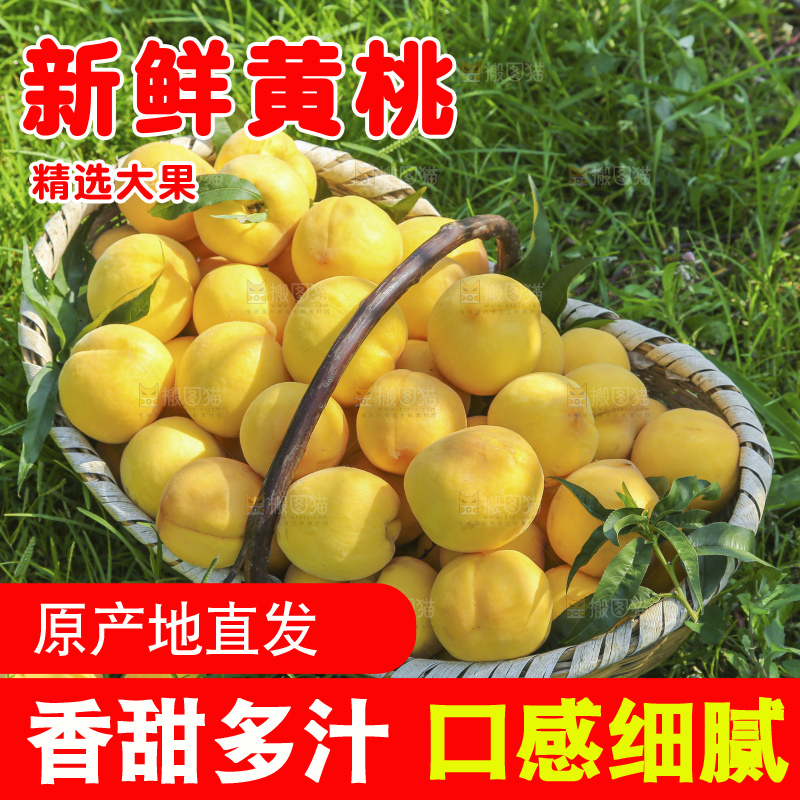 手里拿着黄毛桃