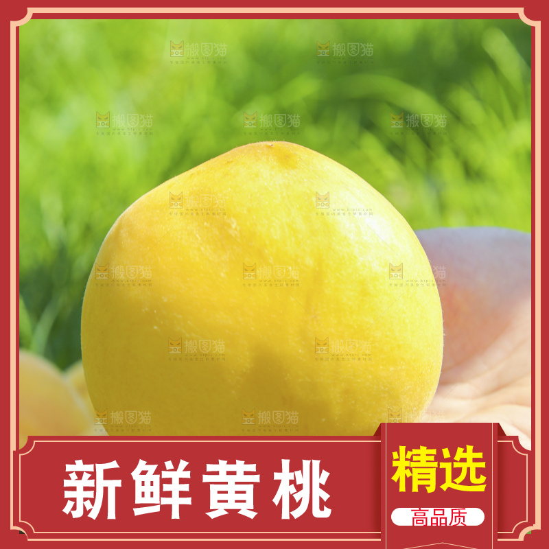 手里拿着黄毛桃
