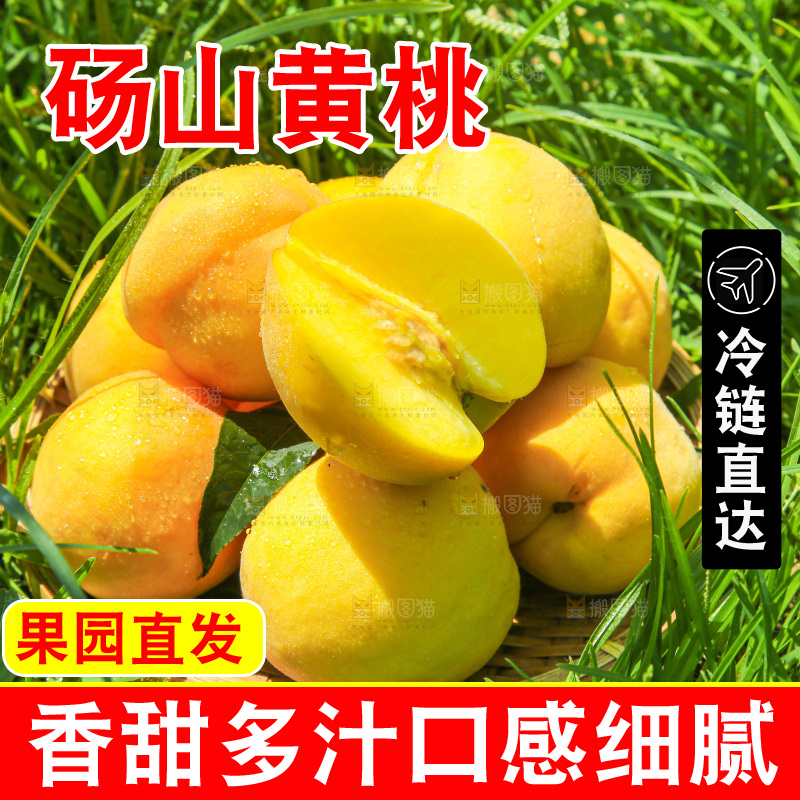手里拿着黄毛桃