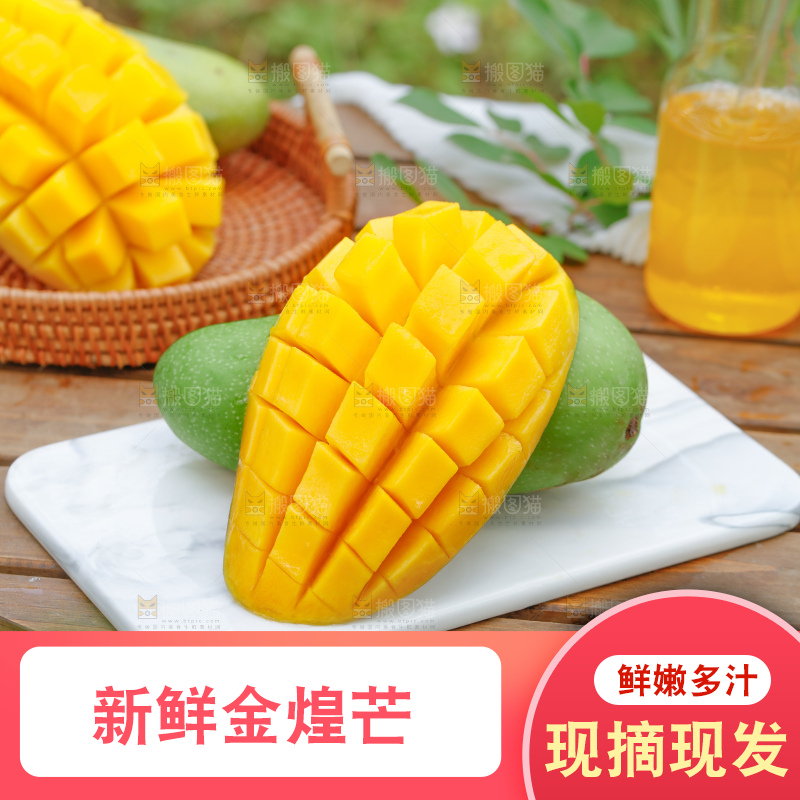 浅底上的绿皮金煌芒