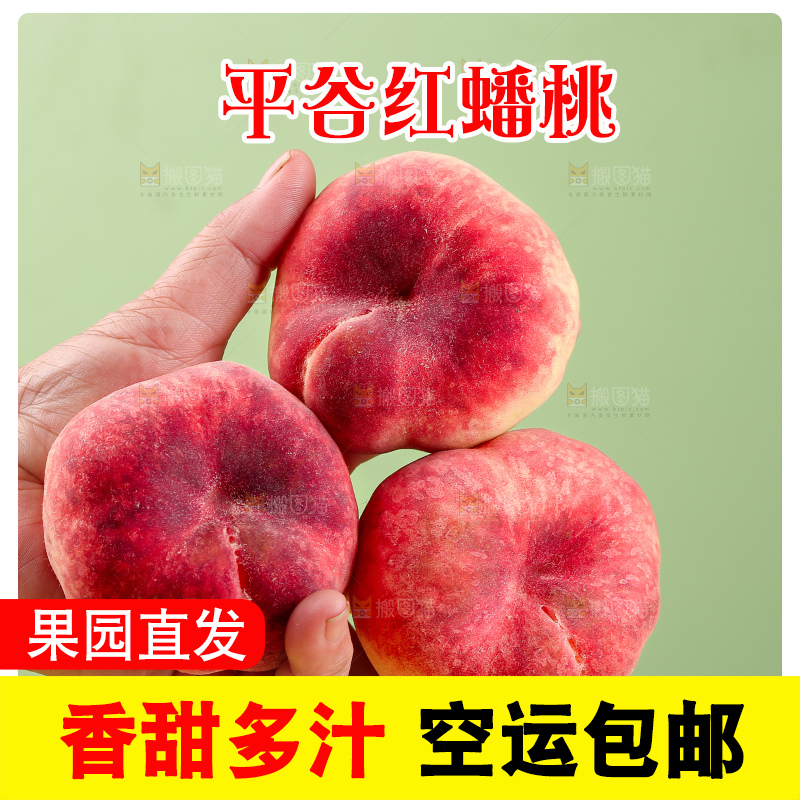 浅底上的毛蟠桃
