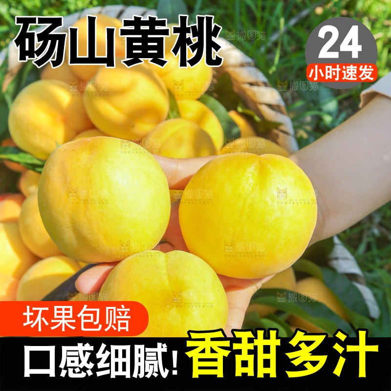手里拿着黄毛桃