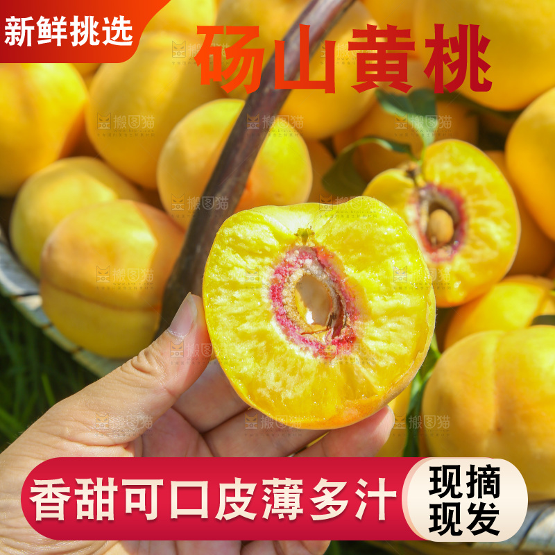 手里拿着黄毛桃