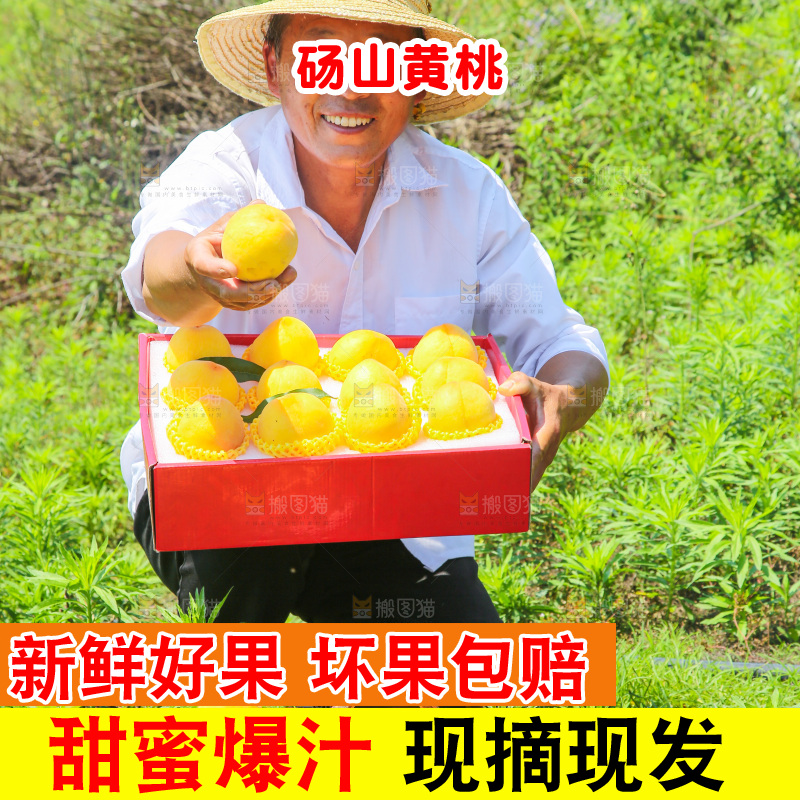 手里拿着黄毛桃