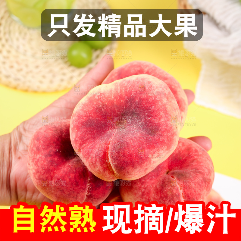 浅底上的毛蟠桃