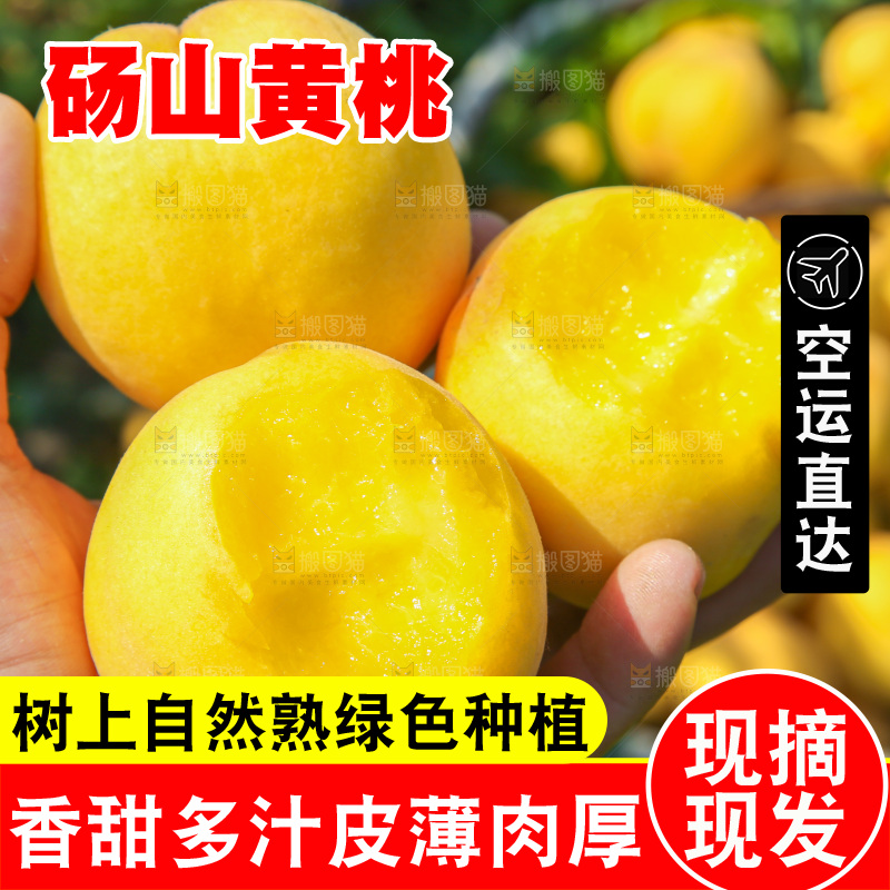手里拿着黄毛桃
