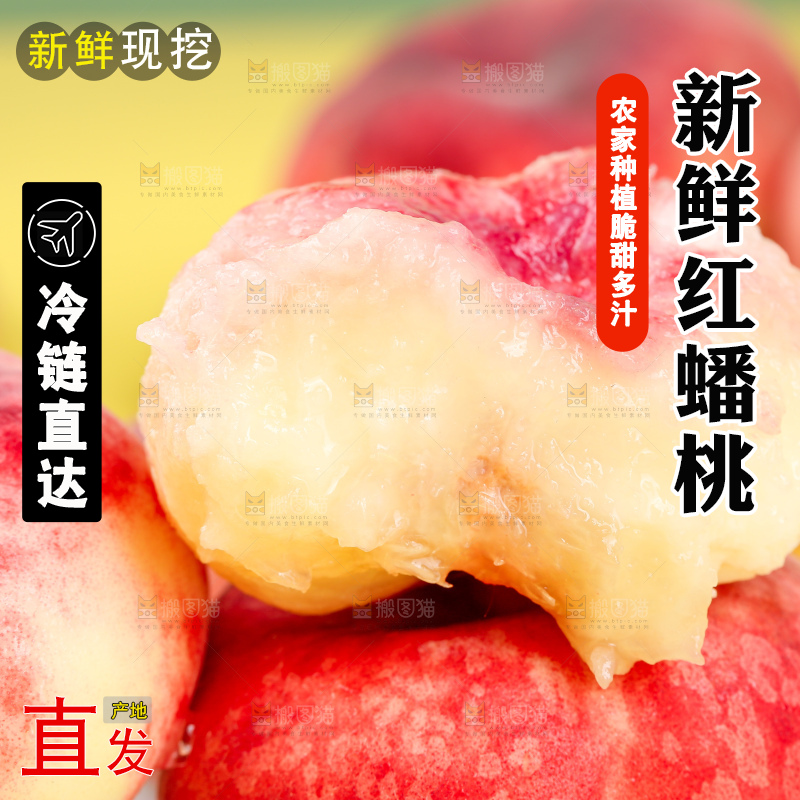 浅底上的毛蟠桃