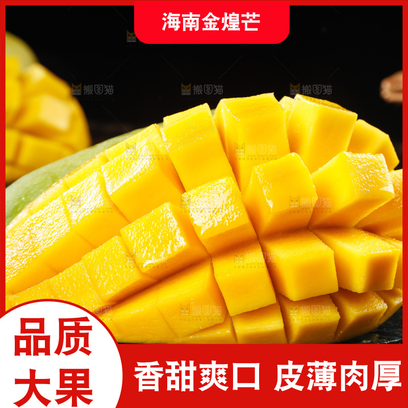 浅底上的绿皮金煌芒