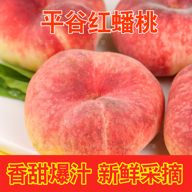 浅底上的毛蟠桃