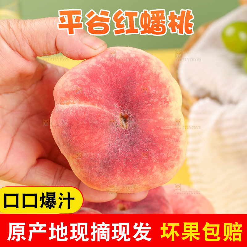 浅底上的毛蟠桃