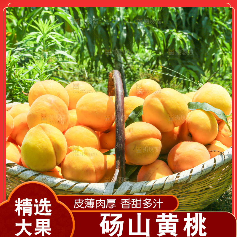 手里拿着黄毛桃